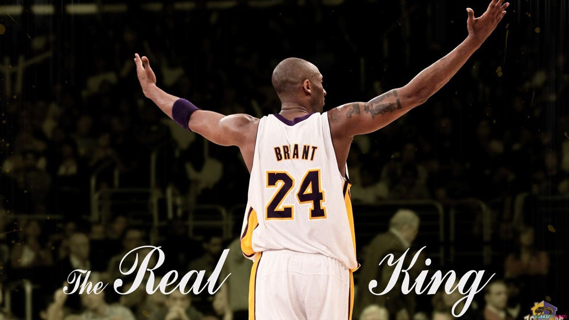 赛事直播评论区互动频繁球迷观点碰撞形成多元讨论生态，看球评论